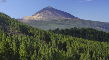 El Tiede, Tenerife