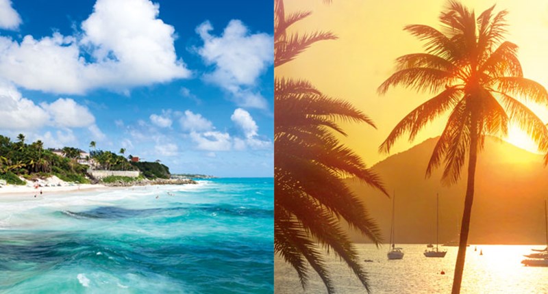 Barbados Vs Antigua: Where to Choose?