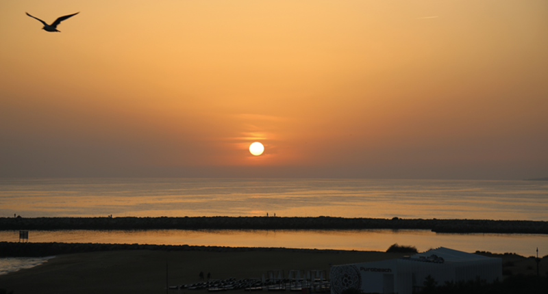 Five Minute Focus | Central Algarve, Portugal