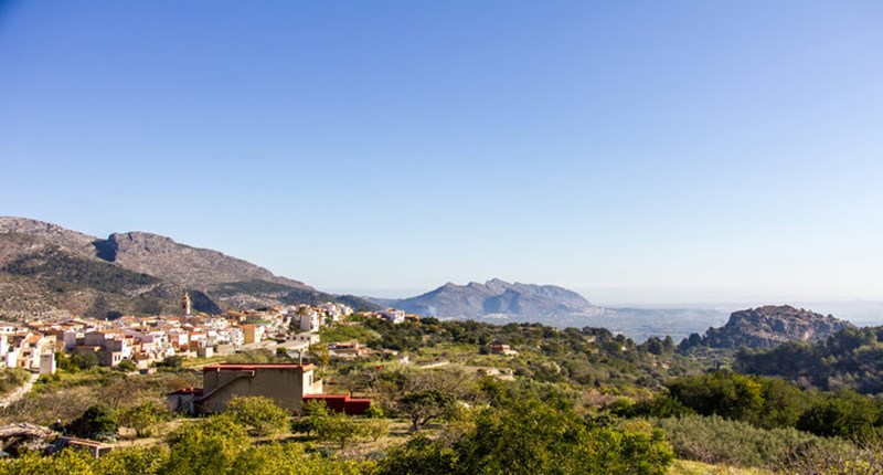 Five Minute Focus | Jalon and Orba Valleys, Spain