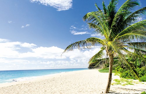 Beach - barbados