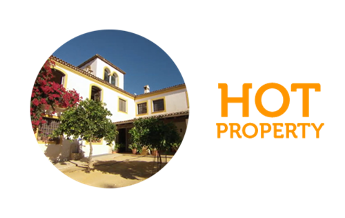 Hot property Nine-bed villa in El Albardinar