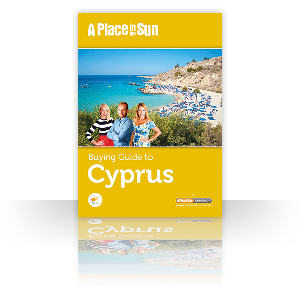 Purchase process in Cyprus